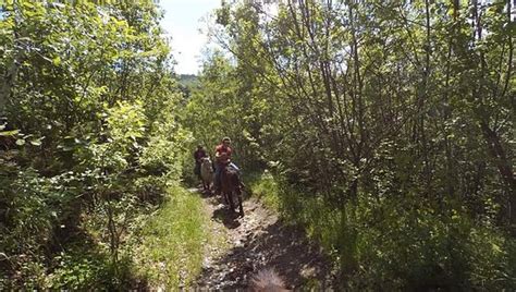 Tours in Brasov - 2022 What to Know Before You Go (with Photos ...