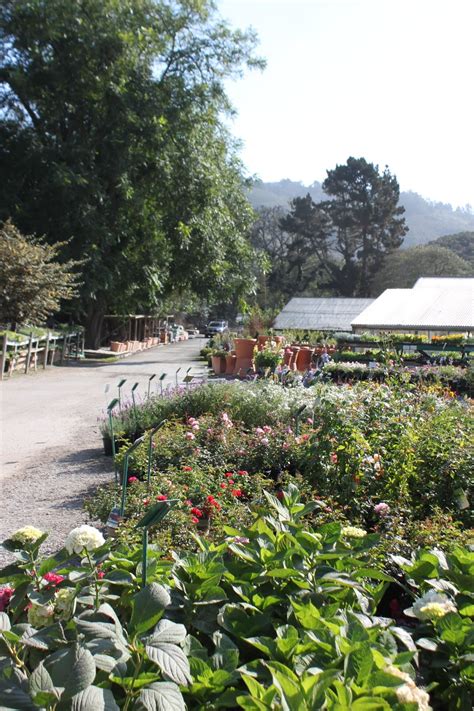 Half Moon Bay Nursery