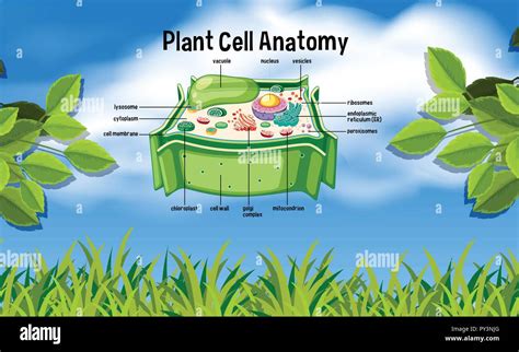 Nature Science Cell 的图像结果