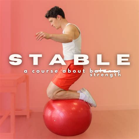 Stable Course Poster 的图像结果