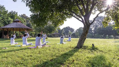 Book Aahana Resort in Jim Corbett - New Year Packages 2025