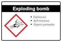 Image result for Exploding Pictogram