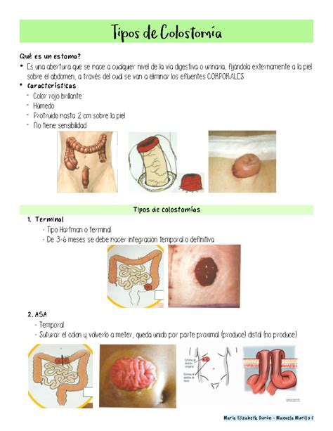 Tipos de Colostomía: Clasificación y Consideraciones Esenciales - Studocu