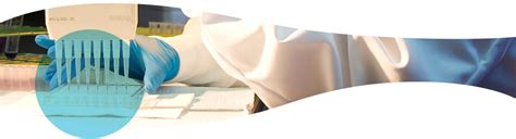 Image result for Pre Formulation