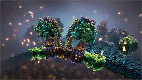 Image result for Cell Structure Animation