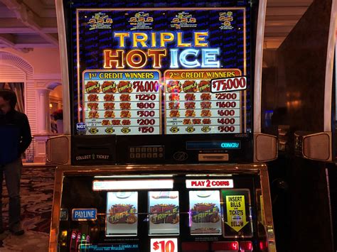 bellagio slot winners today