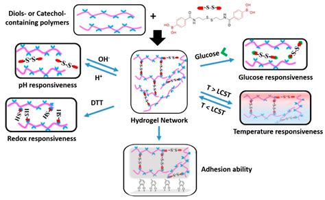 Dually Crosslinked Polymer Networks Incorporating Dynamic Covalent Bonds