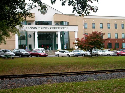 Fannin County Court Calendar - CountyCourtCalendar.com