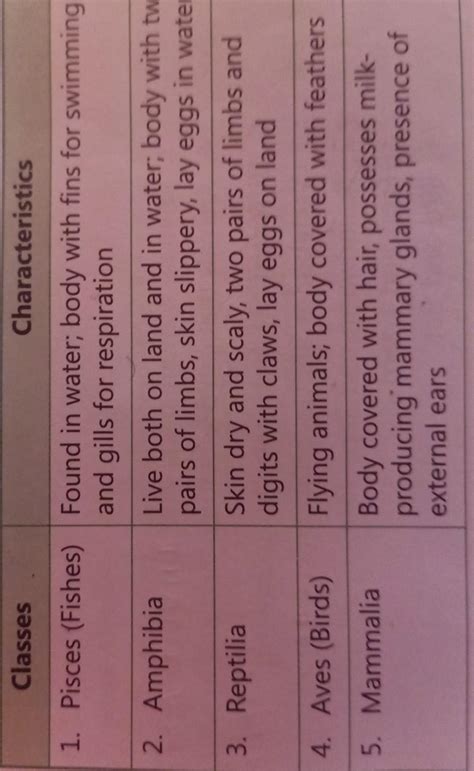 what is the reptila - Brainly.in