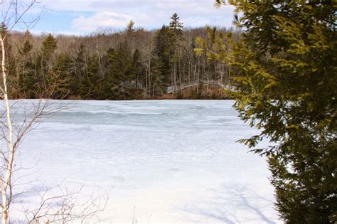 Pleasant Point Park - Buxton, Maine