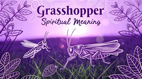 Grasshopper Spiritual Meaning: Leap Boldly Into Abundance, Courage, And ...