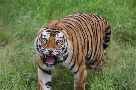 16 Amazing Places to Visit in Bhopal at Night | Enjoy the Nightlife