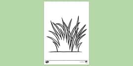 Long Wavy Grass Colouring Sheet - KS1 Resources - Twinkl