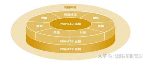 PRINCE2 Explained 的图像结果