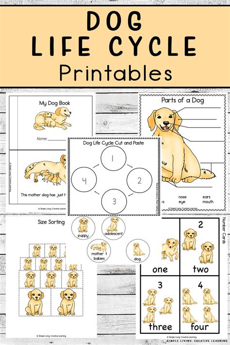 Dog Life Cycle Printables - Simple Living. Creative Learning