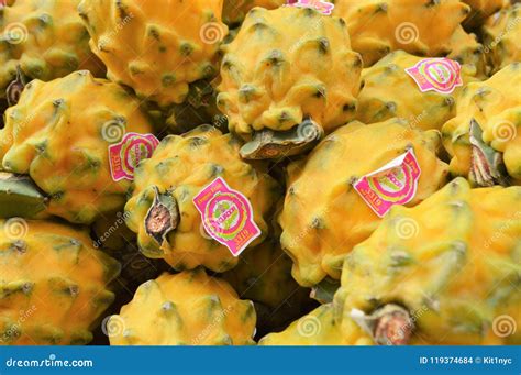 Yellow Dragon Fruit Exotic editorial stock image. Image of pitaya ...