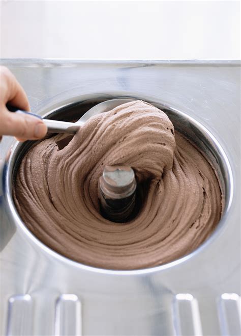 Image result for Homemade Ice Cream Recipes Using Electric Machine