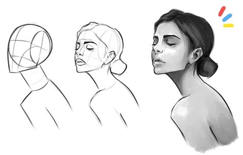 Image result for Face Structure Drawing