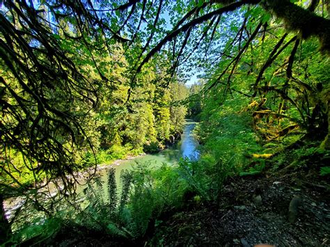 Lime Kiln Trail — Washington Trails Association