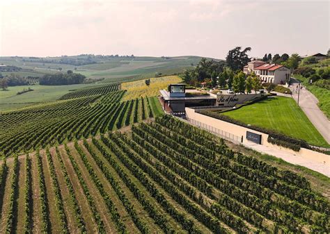 Cantina Vignale Monferrato Hic et Nunc - Shop Vini