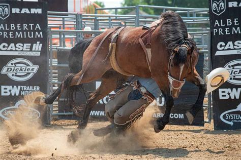 Bronc Riding: Sport In and Out of the Saddle - All About Horses