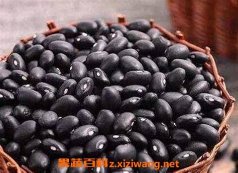 怎样吃黑豆补肾 醋泡黑豆能补肾吗_黑豆_做法,功效与作用,营养价值z.xiziwang.net