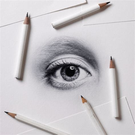 Image result for Basic Sketch Drawing