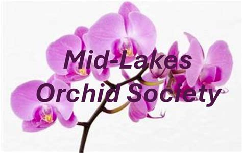 November Monthly Meeting - ON MONDAY FOR THIS MONTH ONLY, Venetian ...