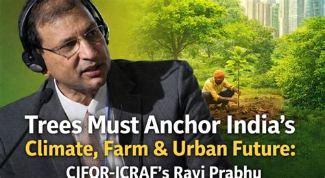 Trees Must Anchor India’s Climate, Farm & Urban Future: CIFOR-ICRAF’s ...