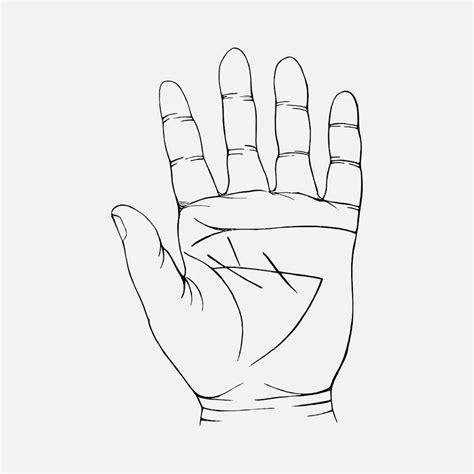 Digital Hand Vector 的图像结果