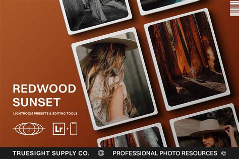 Redwood Sunset - Lightroom Presets – MasterBundles