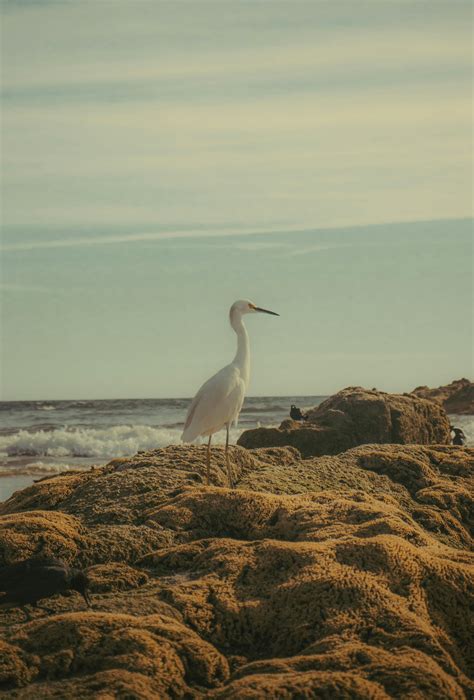 Image result for CGI Animation Beach