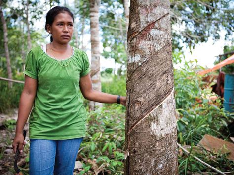 Local People of Forest and Wildlife 的图像结果