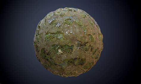 Swamp Ground Texture 的图像结果