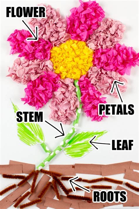 Plant Parts Craft Project and Learning Activity • Kids Activities Blog – ParentingBest.com