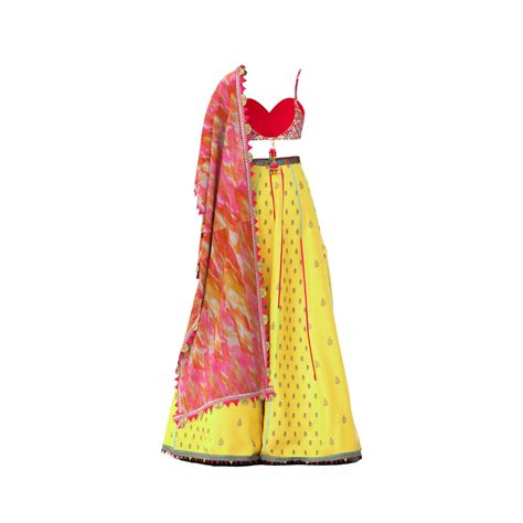 Buy Carousel Lehenga For Women | Indyverse