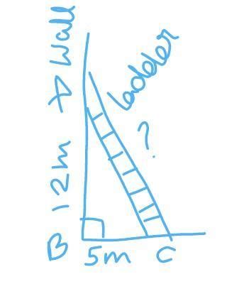The bottom of a ladder is 5m from the base of wall the top of the ...