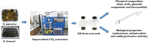 Biological Properties of Fucoxanthin in Oil Recovered from Two Brown ...