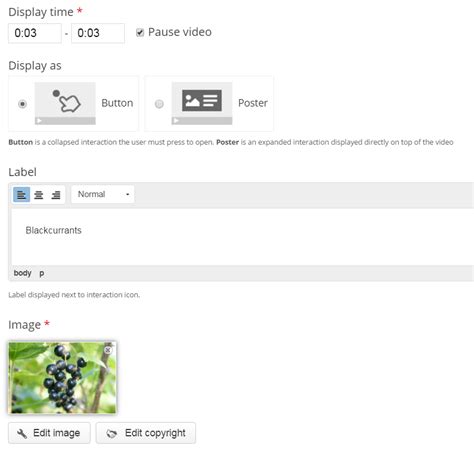 Image result for H5P Interactive Video Tutorial