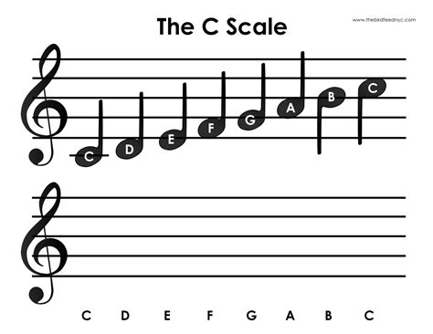 Printable Major Scale Notes