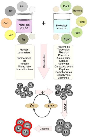 Updates on Biogenic Metallic and Metal Oxide Nanoparticles: Therapy ...