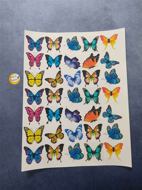 A4 Color Butterfly Sticker Sheet | Kraft ki Dukaan