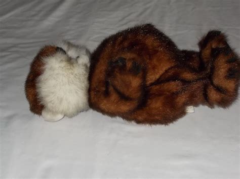 Image result for Push Button Caddyshack Dancing Gopher