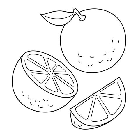 Orange fruit isolated coloring page for kids | Premium Vector