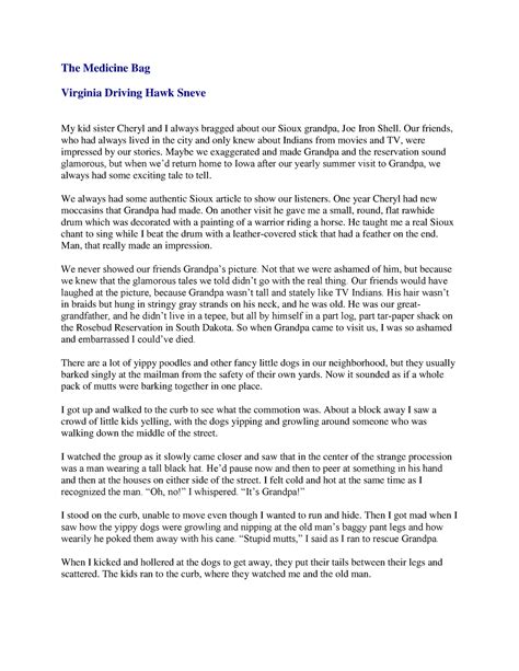 Kami Export - The Medicine Bag by Virginia Driving Hawk Sneve - The ...