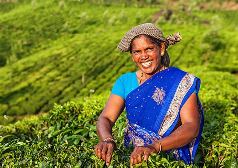 HUL Business Responsibility & and Sustainability Report - FY 2024-25