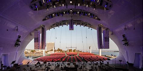 Image result for In the Shell