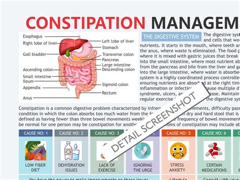 Constipation Education Spanish - Art Education