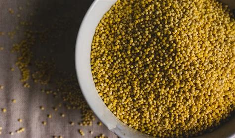 Ragi Java Benefits 的图像结果