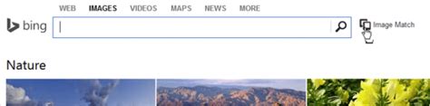 Bing Image Match Search 的图像结果